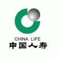中国人寿保险股份有限公司肥城支公司（9133）的logo